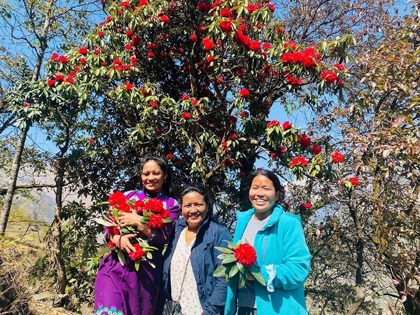 लेकै फूल्यो लालीगुराँस, रमाए पर्यटक