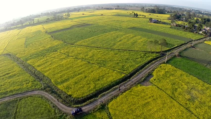 Lack of irrigation hinders paddy plantation in Mahottari