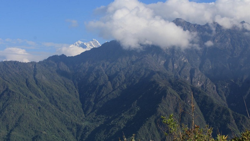 मकालु बरुण राष्ट्रिय निकुञ्ज क्षेत्रबाट अवैध वनस्पति बरामद