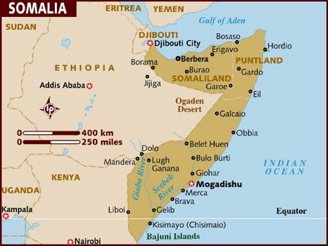 Somali security forces kill 40 militants in southern region