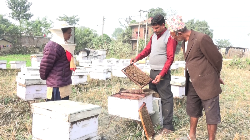   मह उत्पादन गरेर वार्षिक ३५ लाख आम्दानी