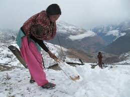 Snowfall grips Humla district