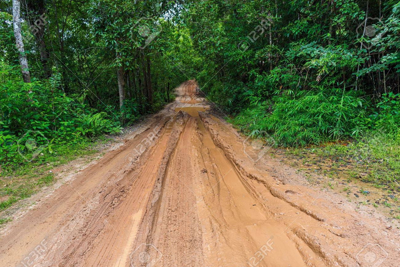 Muddy road restricts mobility among people in Parsa