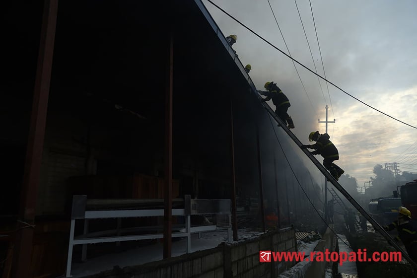 Fire at Nebico Biscuit Factory (with photos)