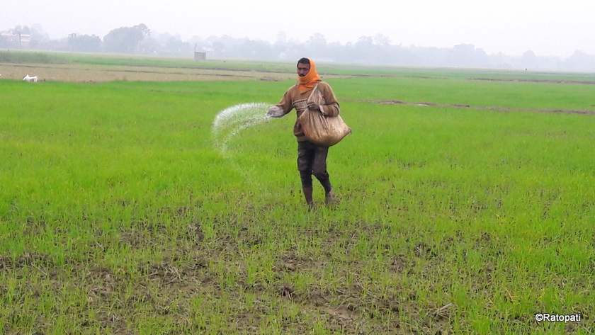 मल अभावपछि भारतीय भन्सार र प्रहरीको अवैध असुलीले किसान हैरान