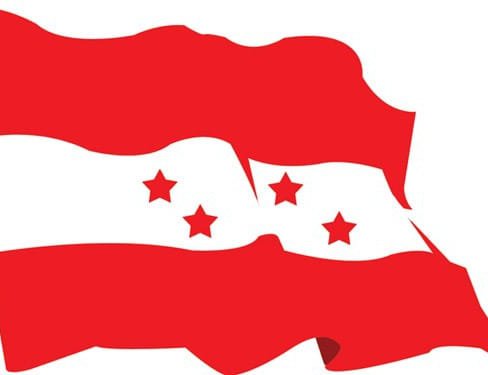 NC's election constituency-level convention begins