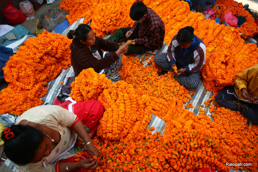 काठमाडौंमा फूलमाला व्यापारको चहलपहल (फोटोफिचर)