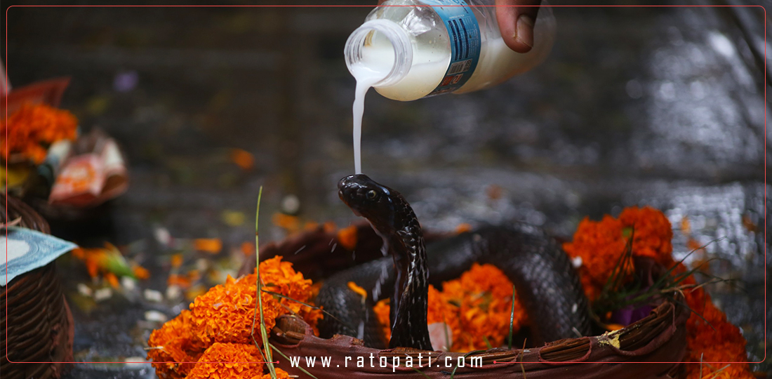 IN PICS: Nag Panchami being observed with huge fanfare