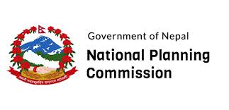 NPI offers suggestions to NPC on economic and social recovery plan