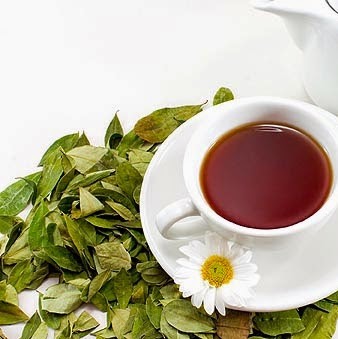 Producers unable to meet demand for organic tea
