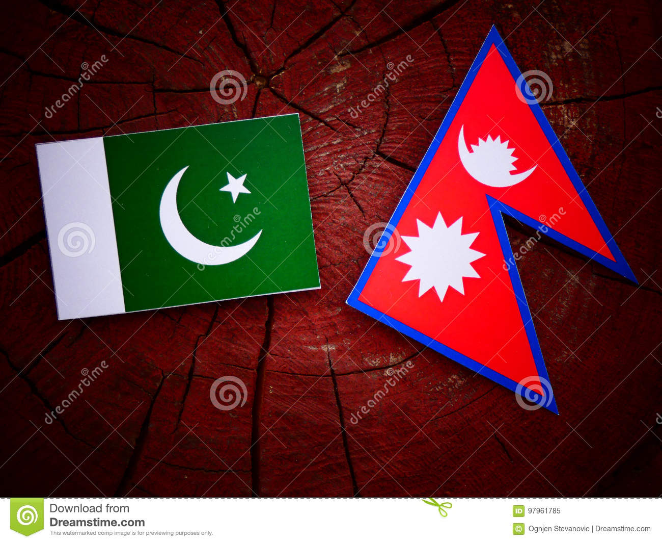 नेपाली र पाकिस्तानी सेना सहयोग विषयमा छलफल