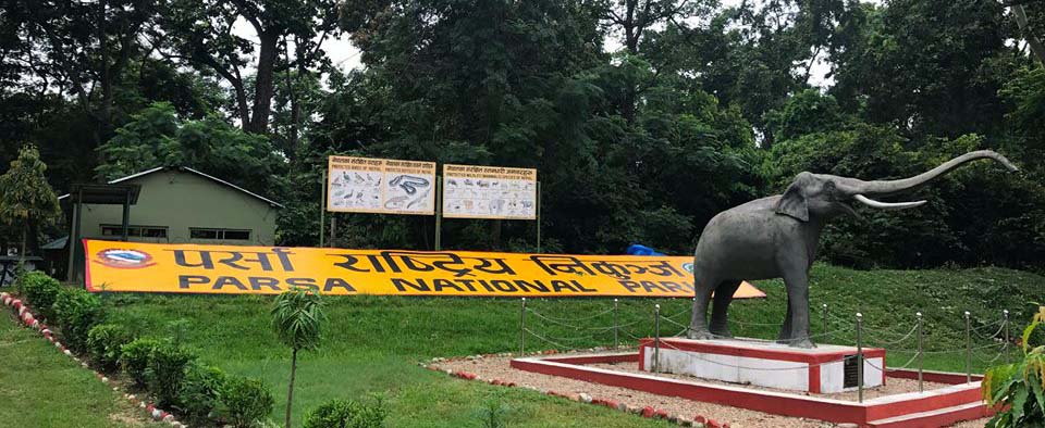 Motor vehicles killing wild animals from Parsa National Park