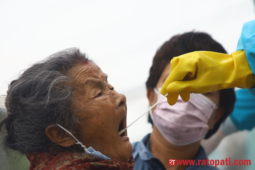 काठमाडौँ महानगरपालिका–३ मा कन्ट्याक्ट ट्रेसिङ गर्दै कोरोना परीक्षण (तस्बिरमा हेर्नुहोस्)