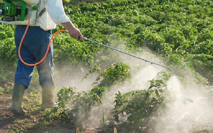 Excessive use of pesticides in green vegetables