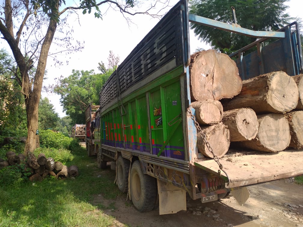 अवैध काठसहित चारवटा ट्रक प्रहरीको नियन्त्रणमा