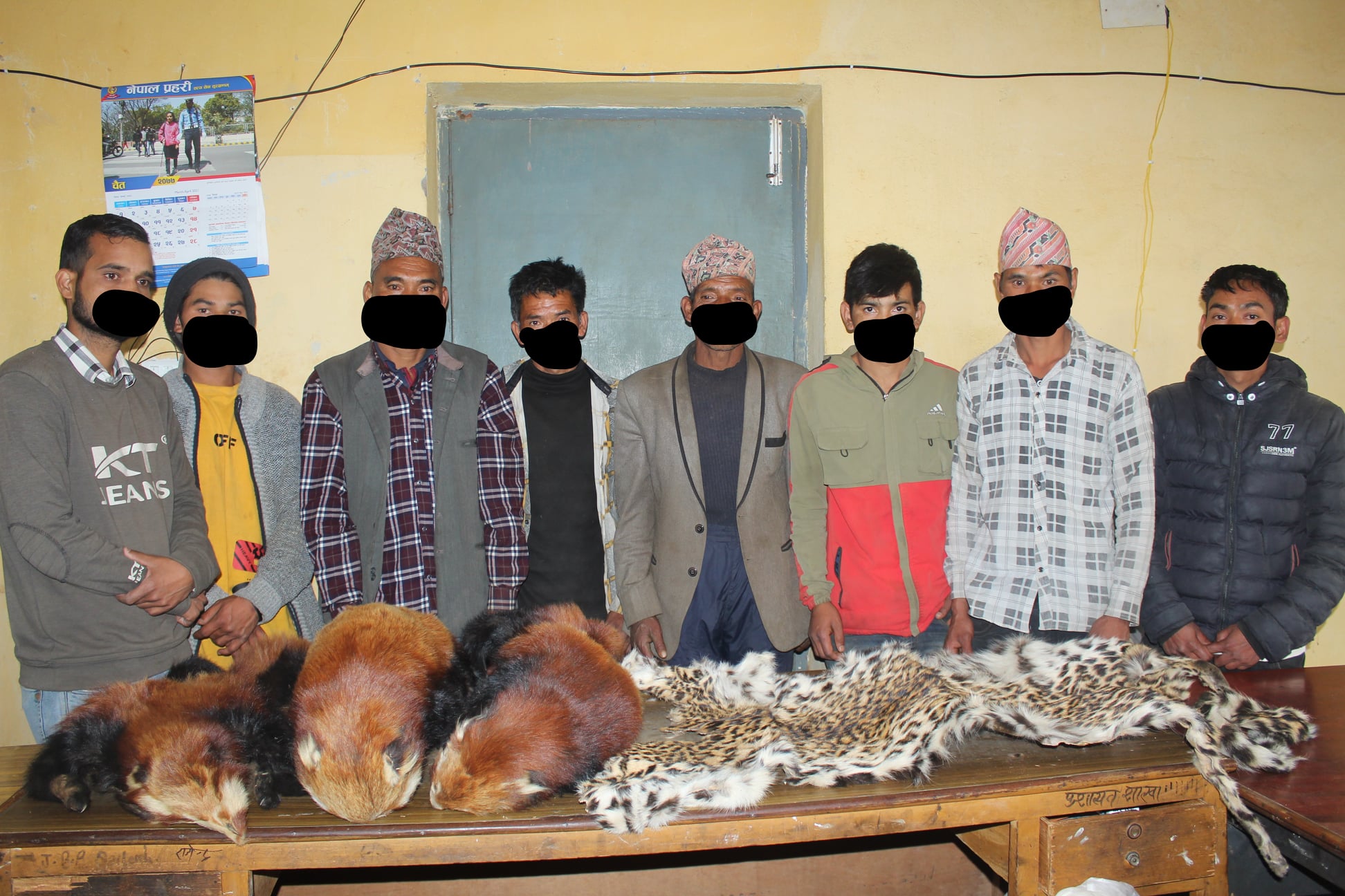 चितुवा र रेडपाण्डाको छाला सहित ८ जना पक्राउ
