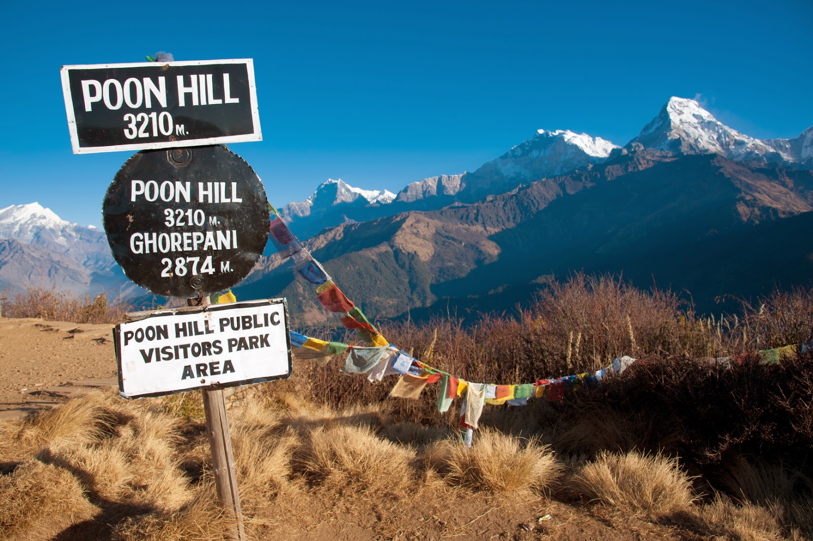 Hotels at Ghodepani, Pun Hill reopen