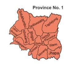 Pyakurel picked as Province-1 planning commission chair