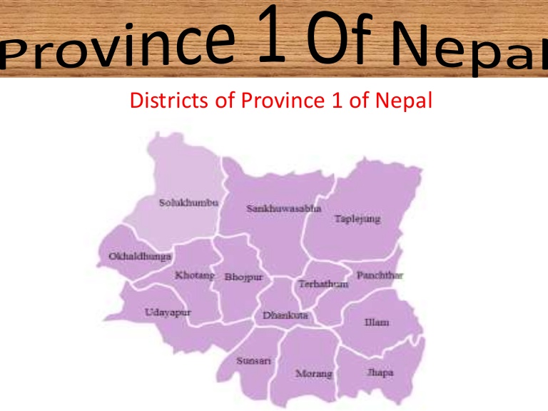 Provincial government successful in creating hope: Province 1 CM Rai