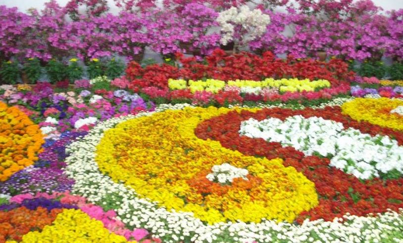 21st Flora Expo from April 13