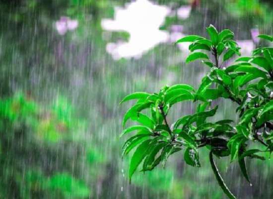 Rainfall likely for next three days