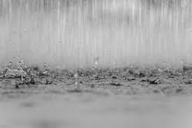 Brief rainfall predicted