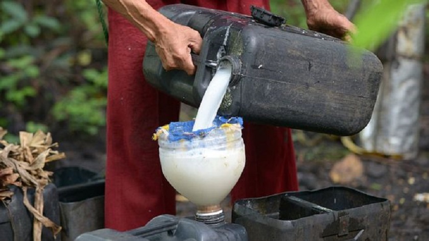 Eight die in Philippines after drinking coconut wine