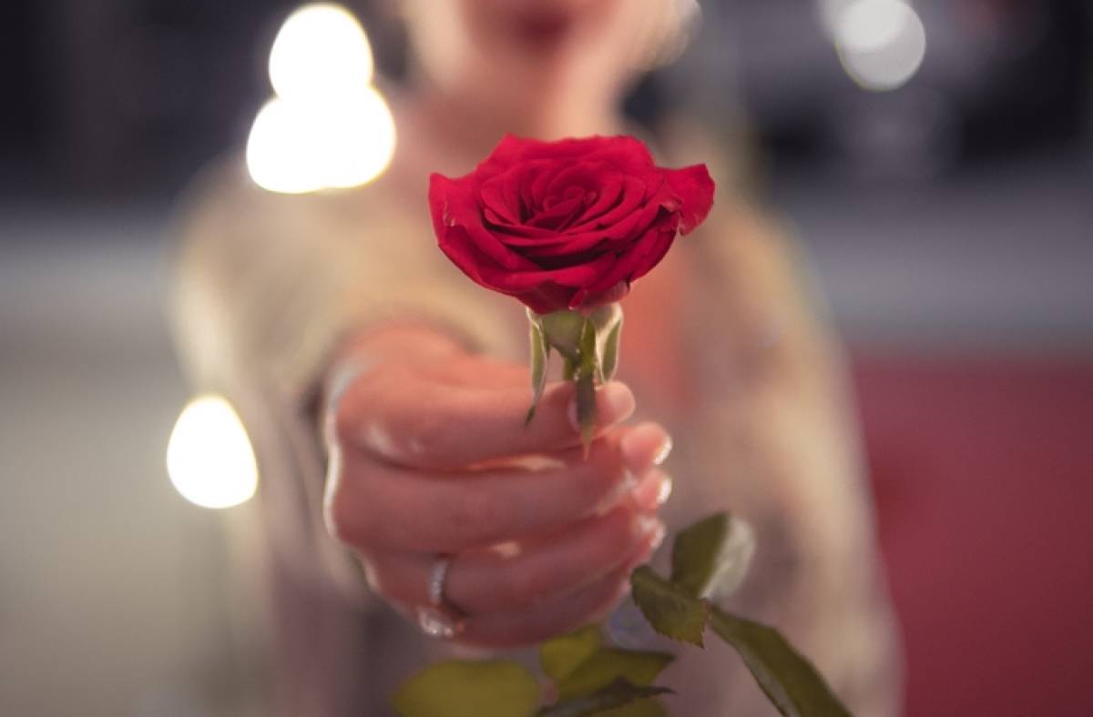 प्रेम प्रकट गर्न किन दिइन्छ रातै गुलाफ ?