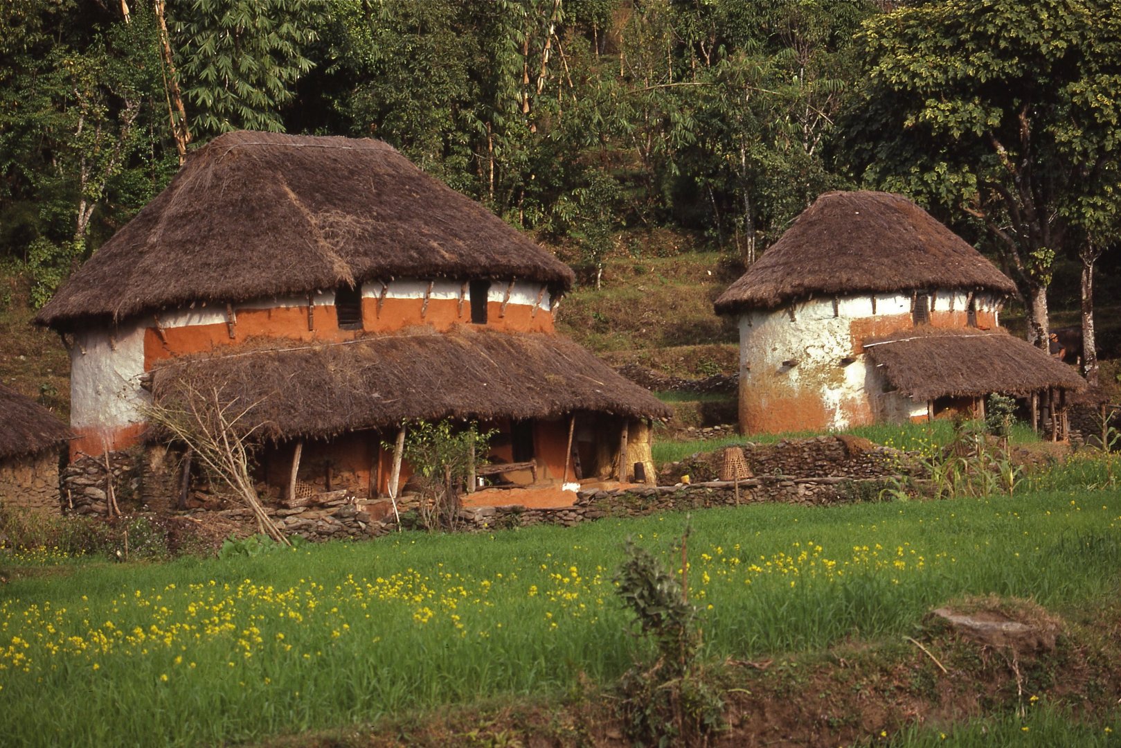 1,874 thatched-roof houses to be replaced with zinc sheets in Kaski