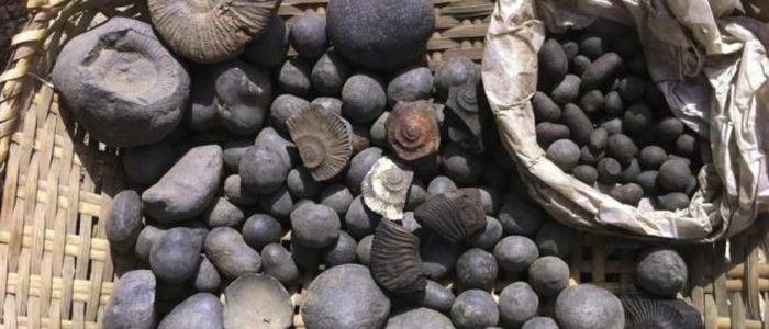 Conservation of shaligram started in Devghatdham