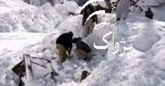4 of Afghan family dead in avalanche