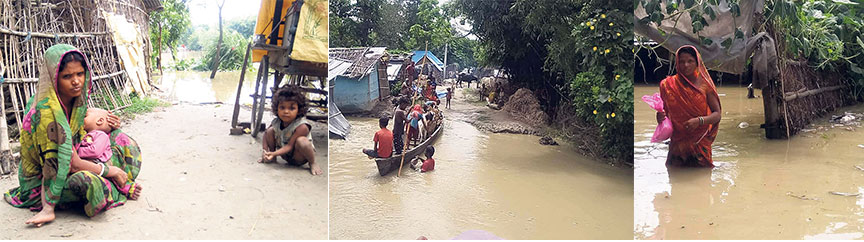 Saptari flood victims crying for reliefs