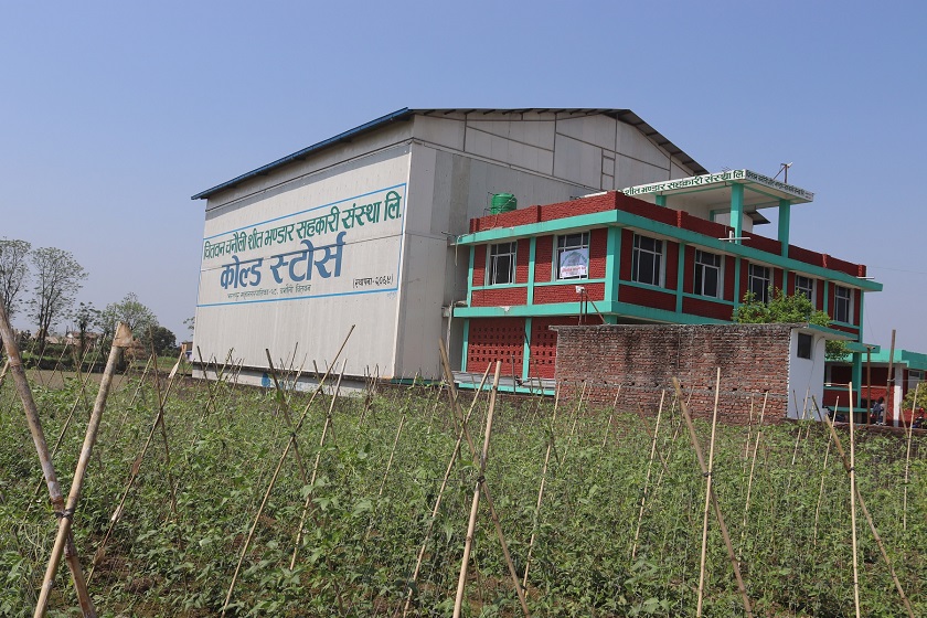   भरतपुरमा २८ सय टन क्षमताको शीत भण्डार सञ्चालनमा आउँदै