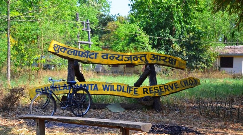 Water birds census begins in Shuklaphanta National Park