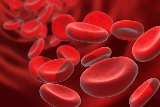 339 sickle cell anaemia patients in Dang