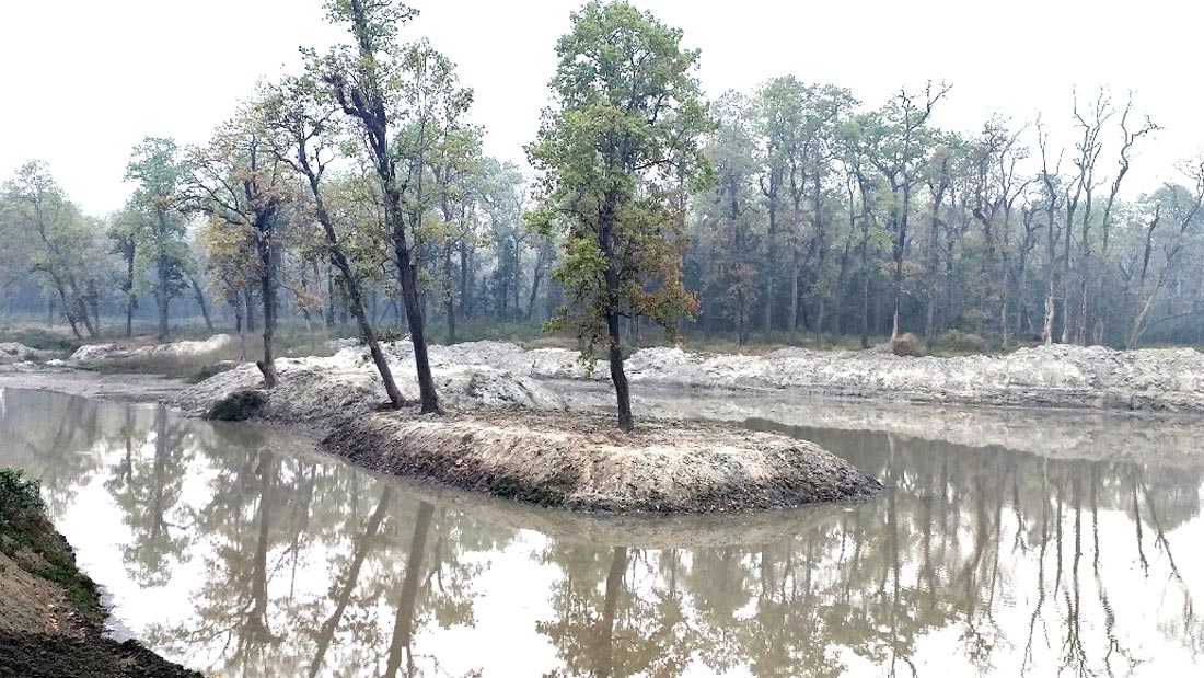 World Wetlands Day being observed