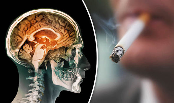 धुम्रपानले मस्तिष्क, मुटु र पेटमा पार्ने गम्भीर असरहरू
