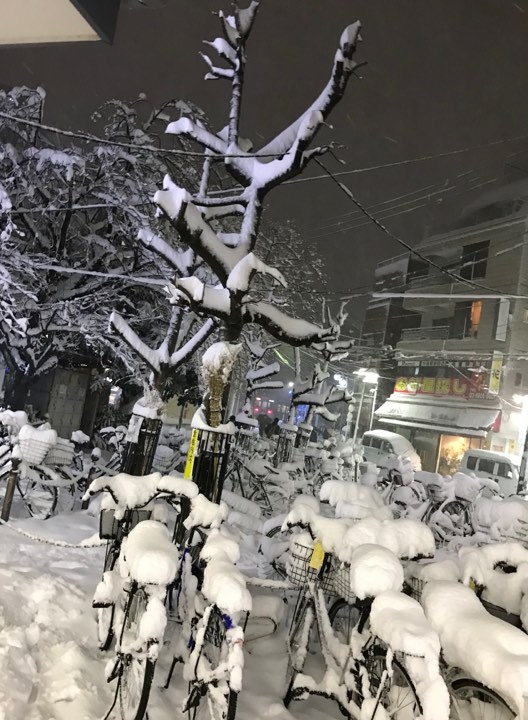 Tokyo hit by heavy snow, gov't calls for public vigilance