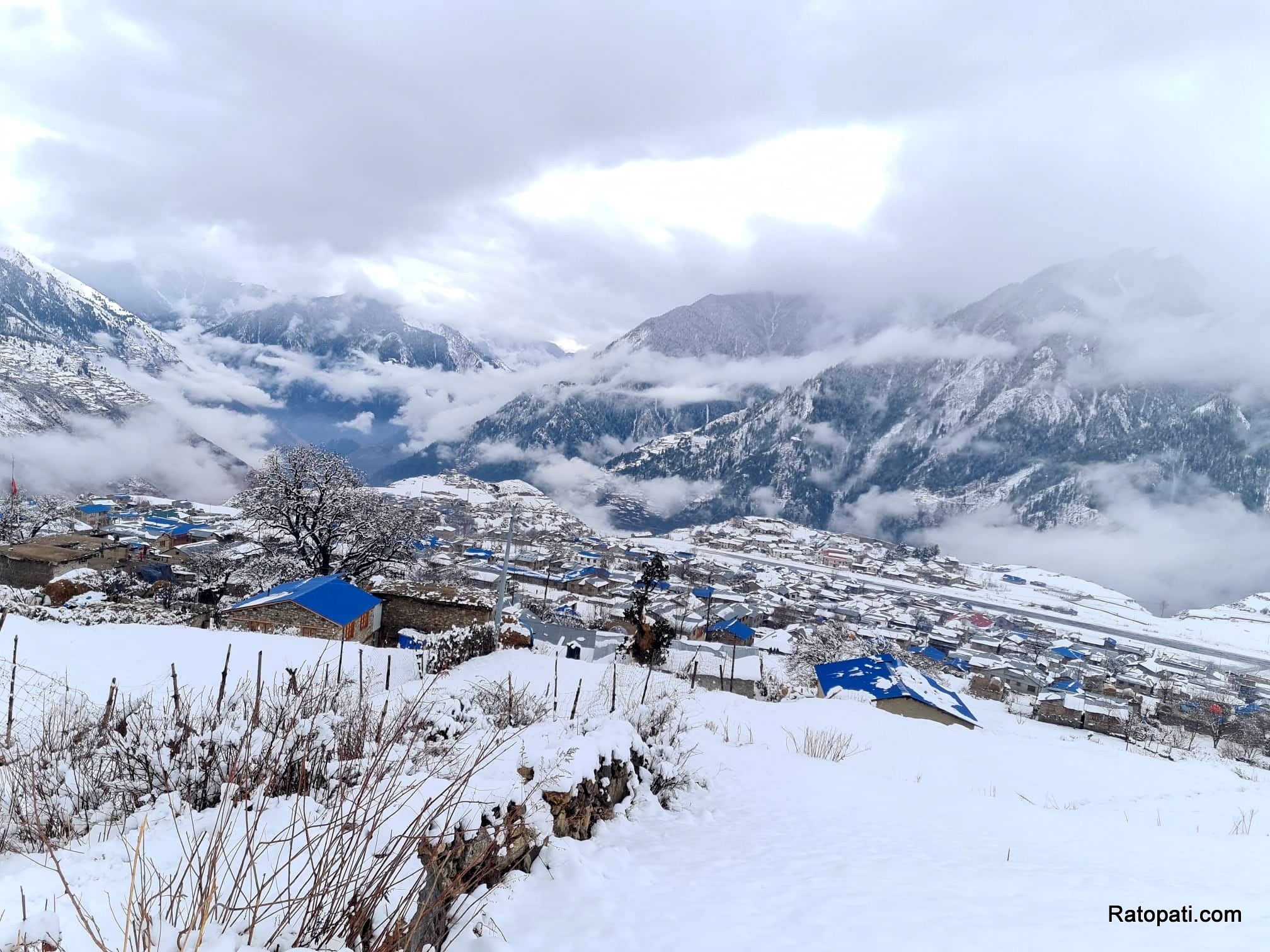 हुम्लामा पुनः हिमपात : किसान खुशी