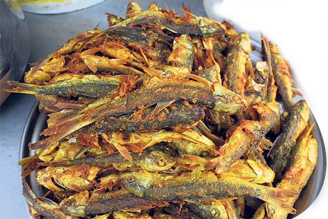 2nd Fish Festival in Bara from March 9