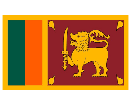 श्रीलङ्कामा युवा लक्षित १० लाख रोजगारी सिर्जना गरिने