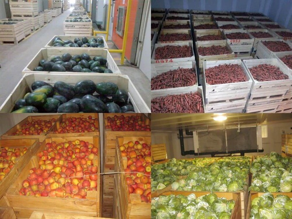 Cold storage comes into operation at Chhinchu