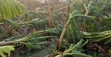 Storm damages houses, crops in Shuklagandaki