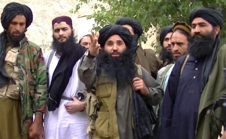 तालिबानद्वारा अनिश्चितकालीन युद्धविरामको घोषणा