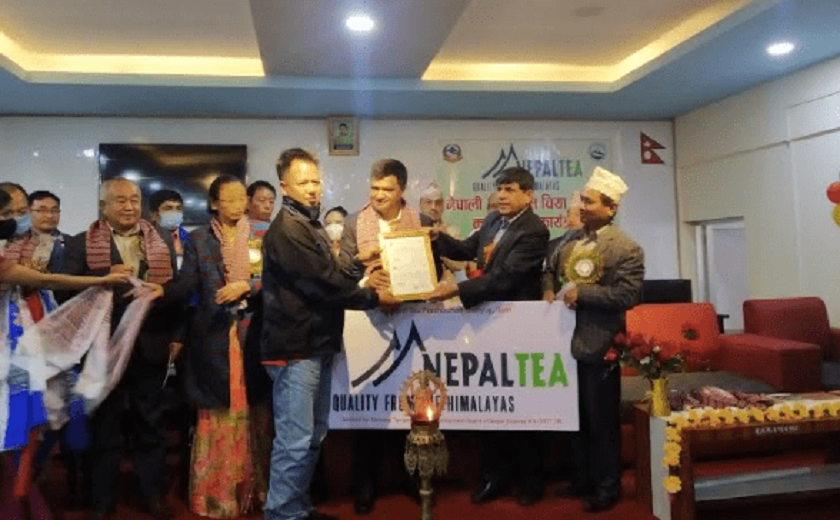 नेपाली चियाले पायो आफ्नै ट्रेडमार्क