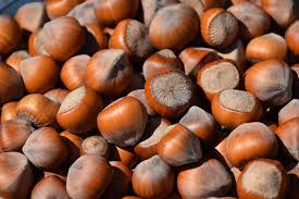 Humla imports Chandler walnut from Turkey