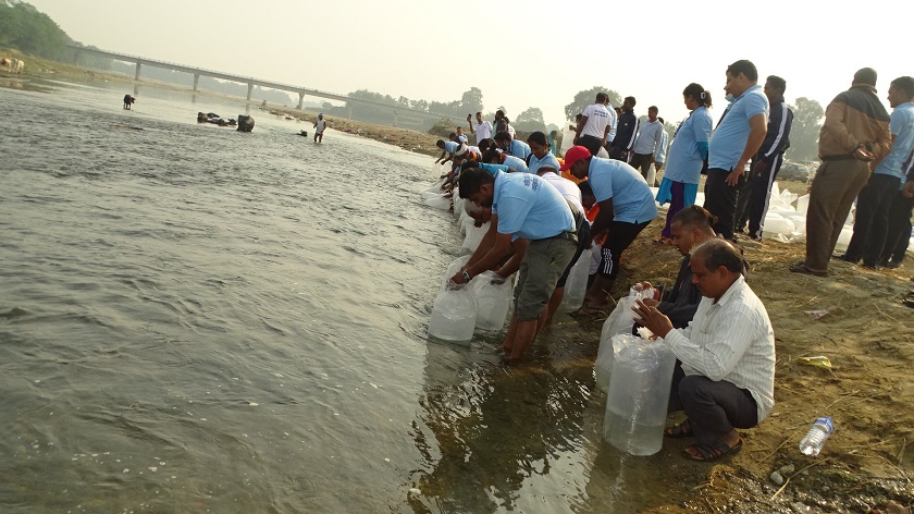 विश्व मत्स्‍य दिवस : दानव नदीमा ५० हजार भुरा छाडियो
