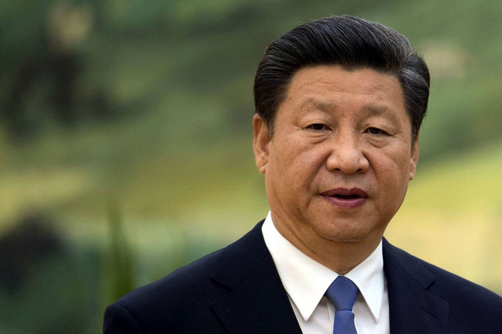 Xi stresses rural vitalization strategy