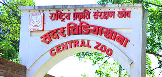 Central Zoo to remain shut for a week amid COVID-19 fears