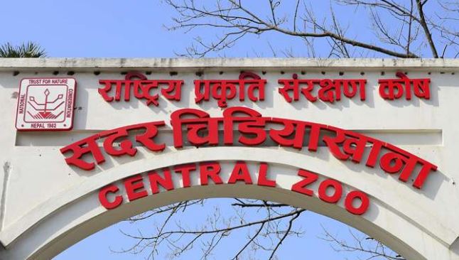 Central Zoo going digital